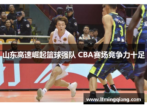 山东高速崛起篮球强队 CBA赛场竞争力十足